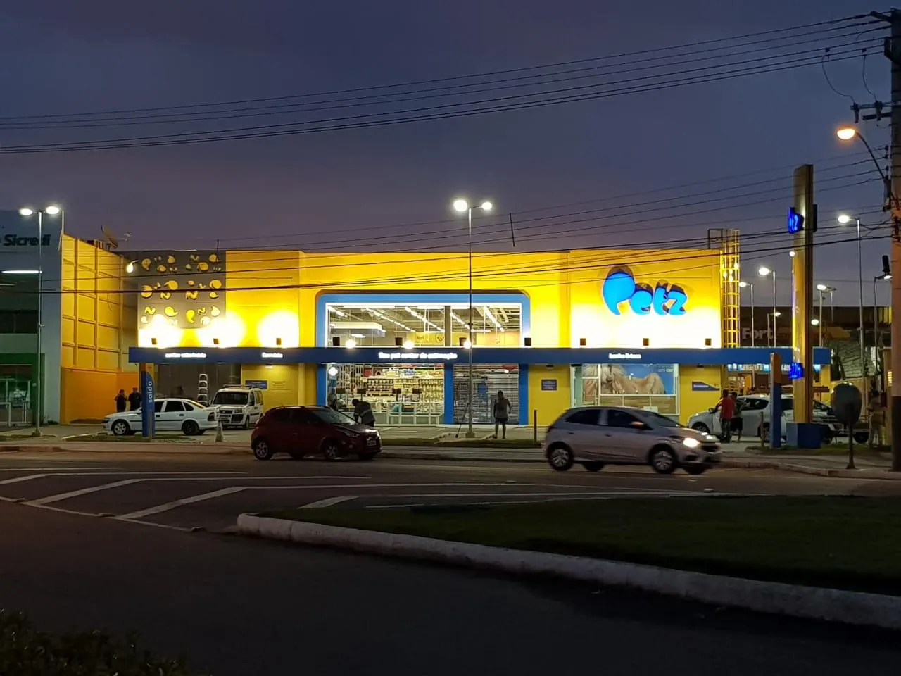 Fachada amarela da loja Petz em Balneário Camboriú ao entardecer, com letreiro iluminado e carros no estacionamento